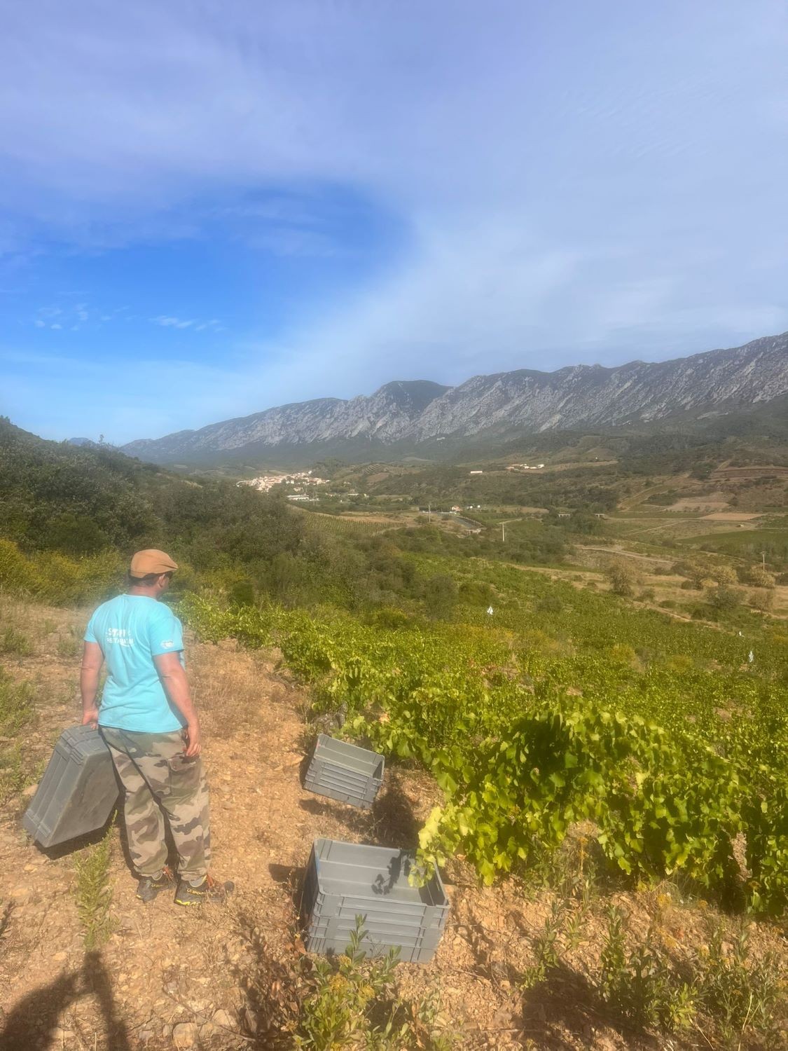 VENDANGES 2025 - Jour 13