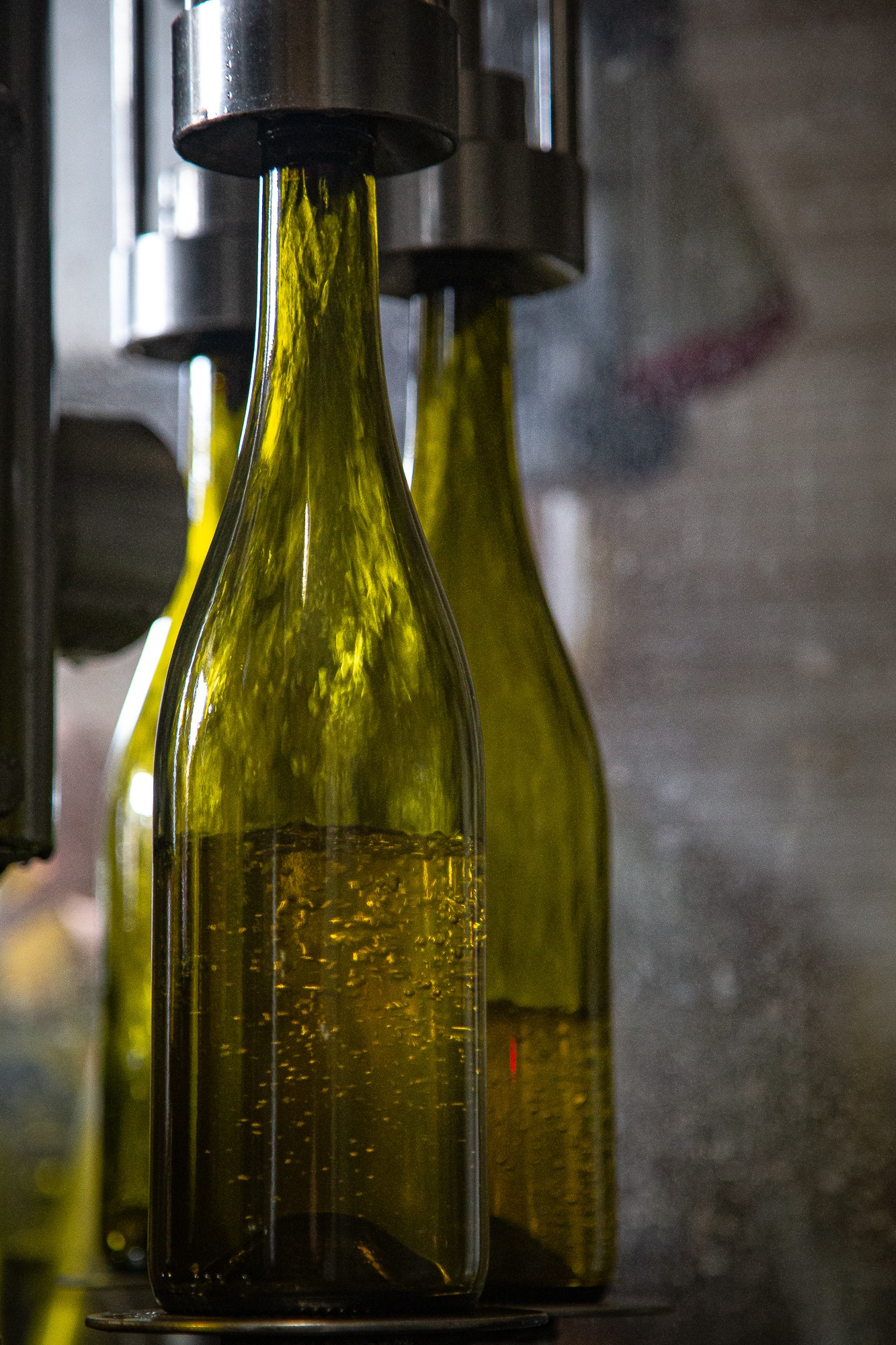 MISE en BOUTEILLE du TROUBLE FAIT 2023