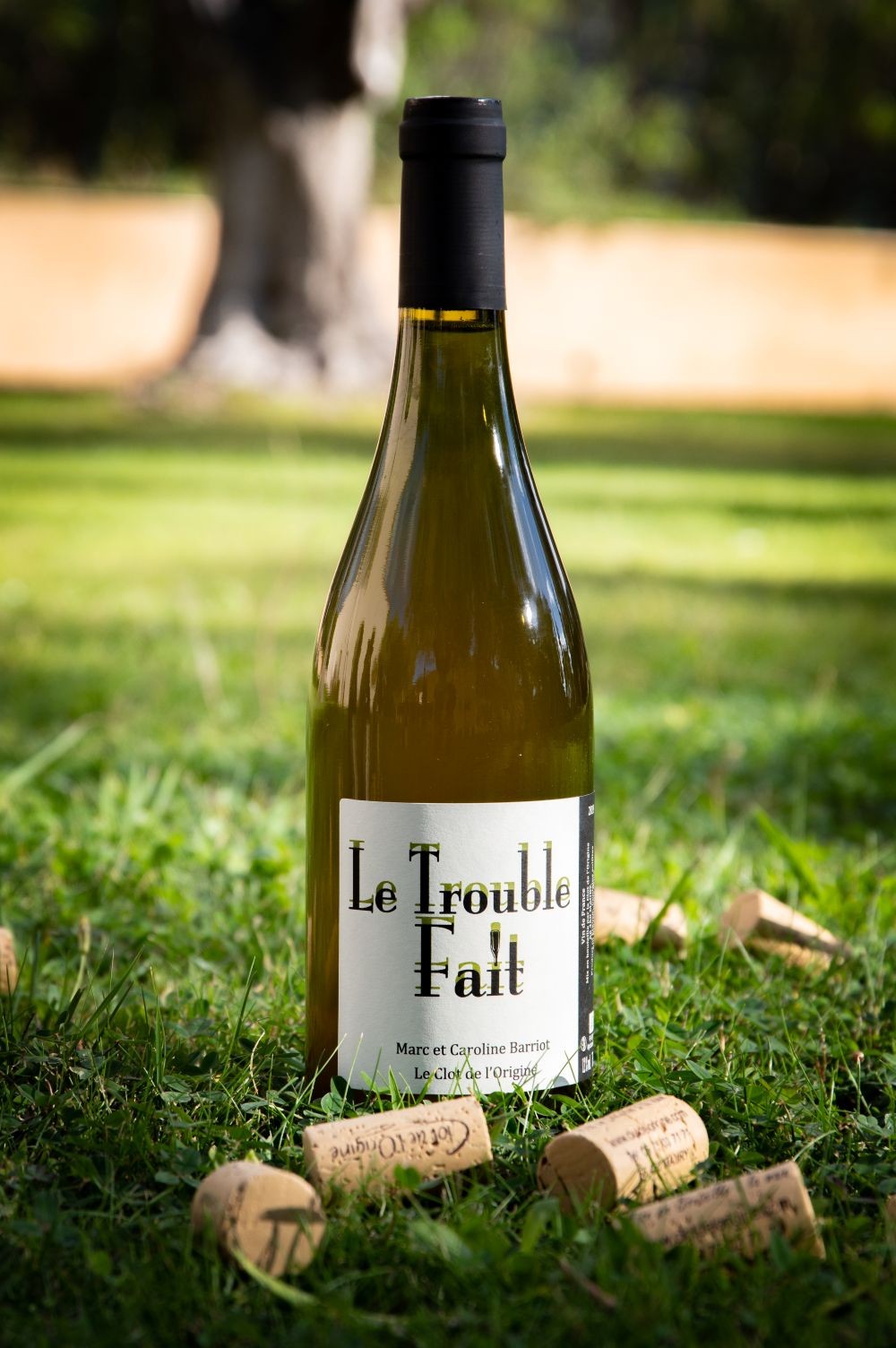 MISE en BOUTEILLE du TROUBLE FAIT 2023